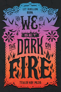 colorful ya books: we set the dark on fire by tehlor kay mejia